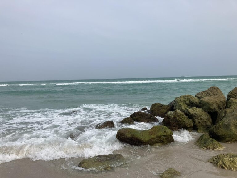 Utazás - Őméltósága