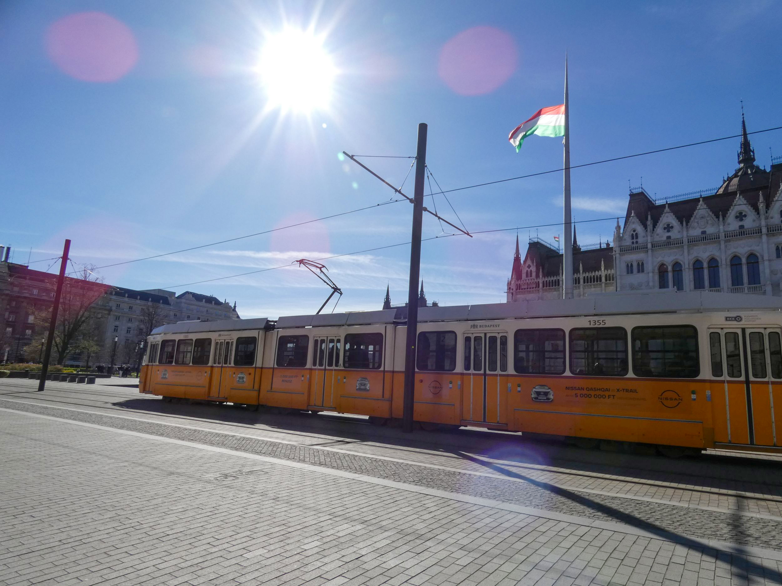 Blog - Szállhatsz szabadon?