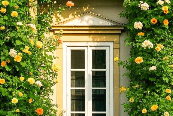 Vers - Egyszer lesz egy rózsakertem