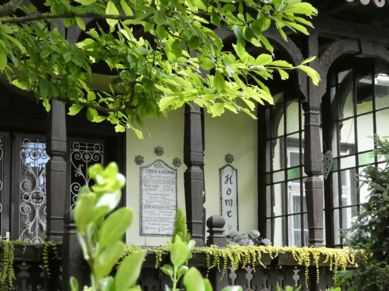 Mert az évszakok varázslatosak, csodaszép a Dunakanyar, a folyó a szigeteivel, vannak hidak, bicikliutak, hetes busz és fonódó villamos, várak, levendula- és pipacsmezők, puli és rackajuh, bobpálya és mezítlábas park, bazalt orgonák és lila orgonák