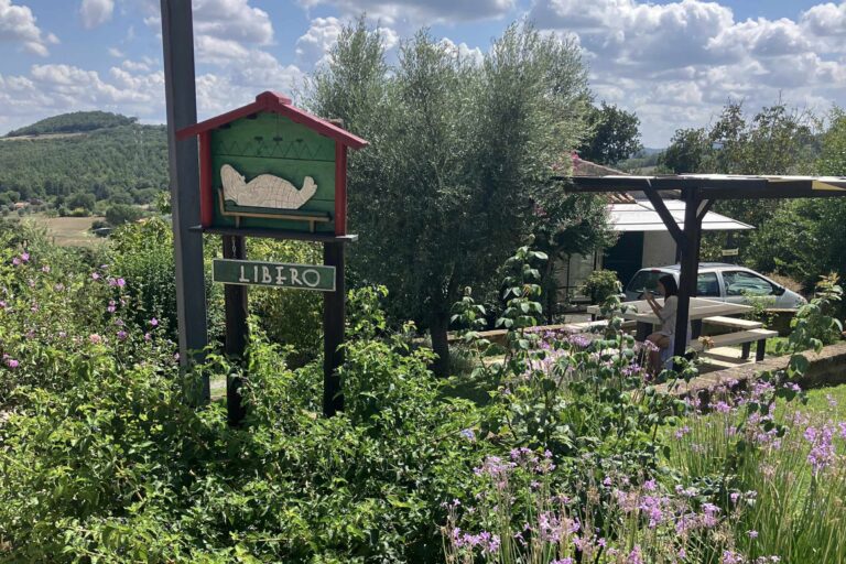 Utazás - Otthonom a világ