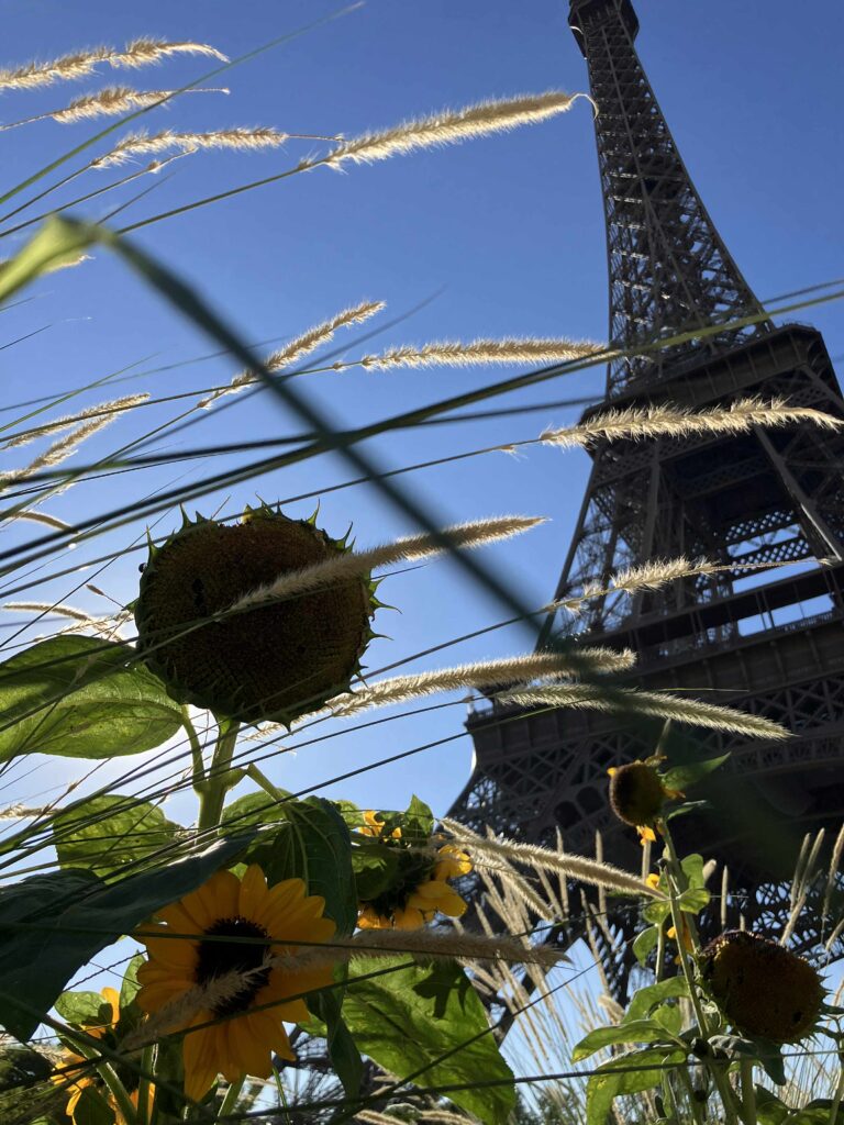 Utazás - Amikor Belmondo mellett ülünk