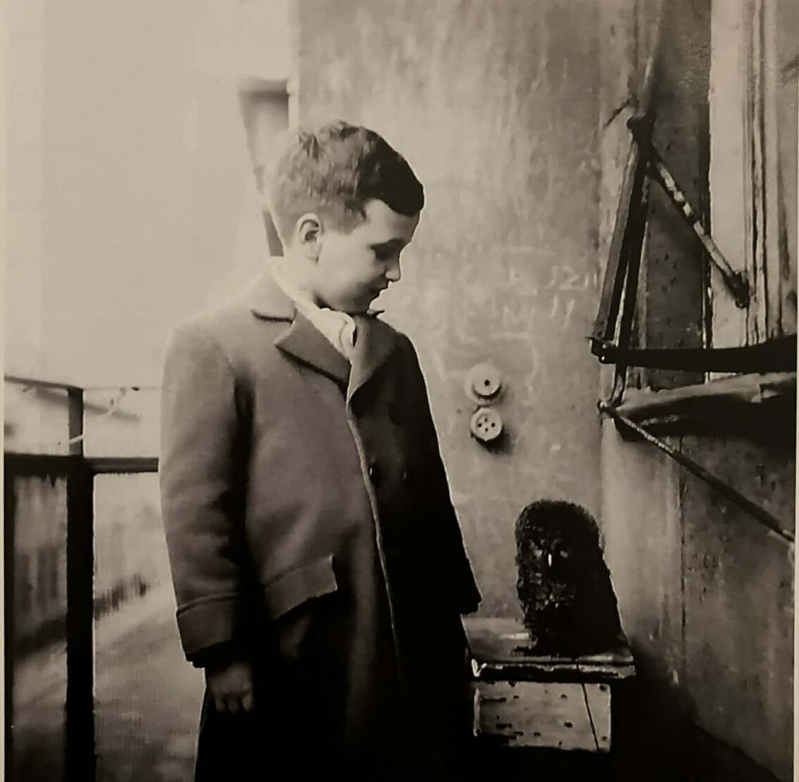 Blog - A Krisztina körút a mindenem