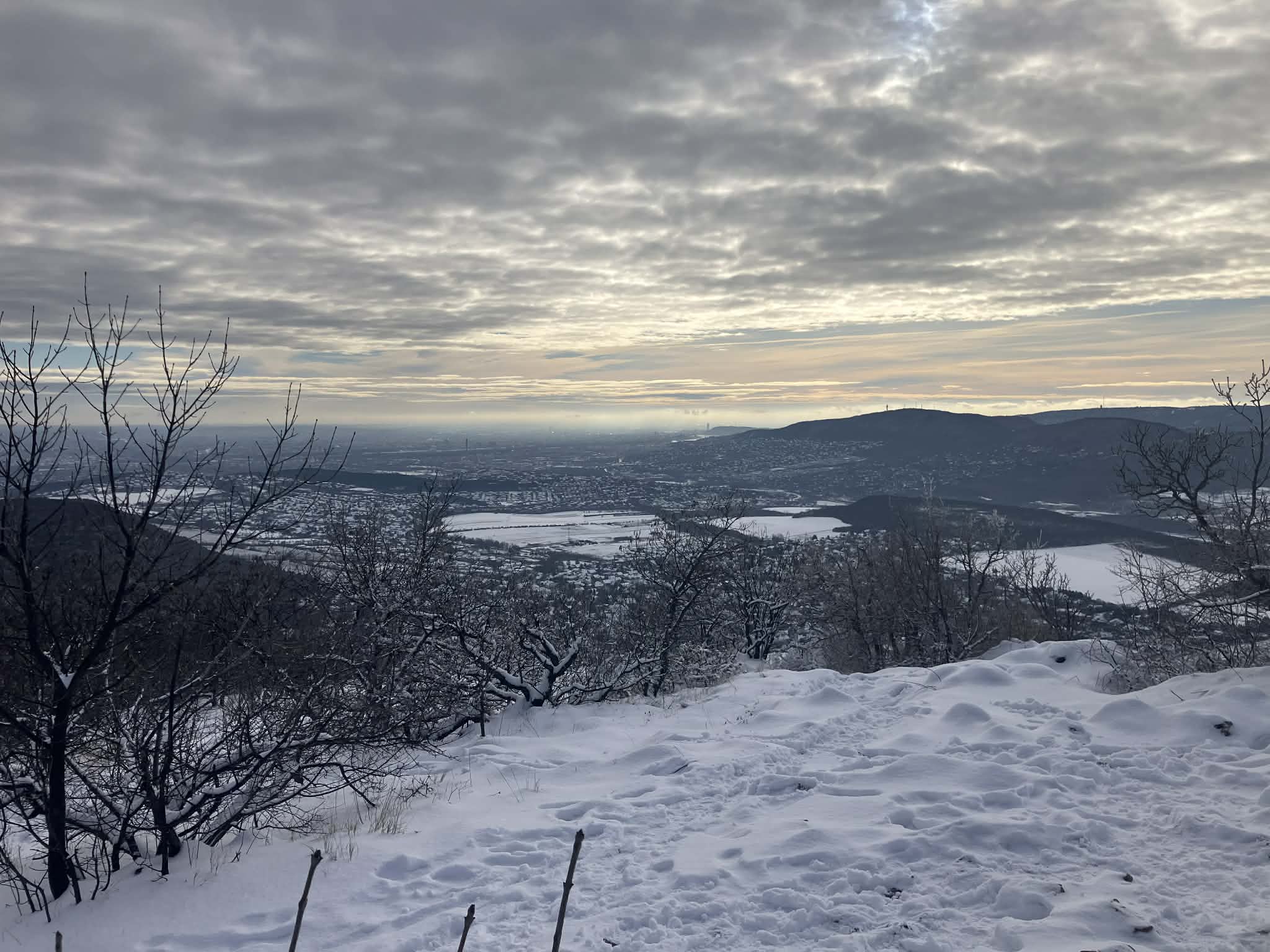 Blog - Hófehér