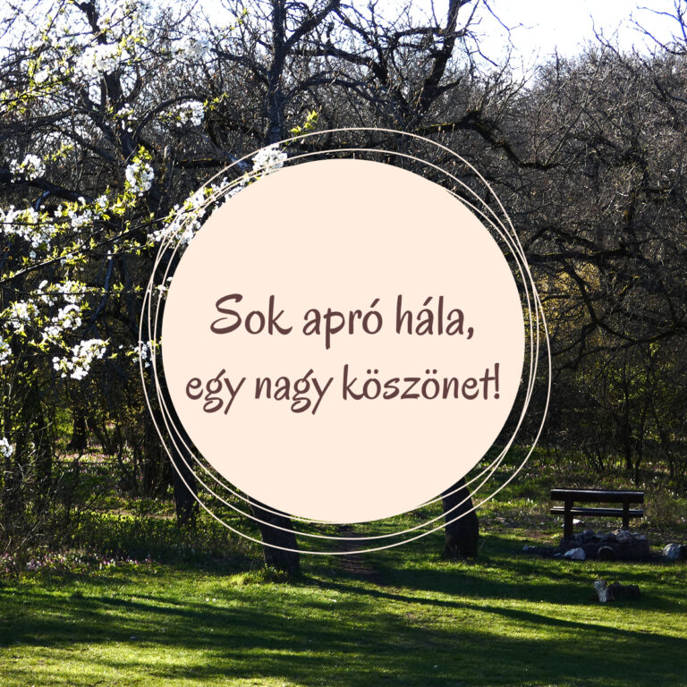Blog - Hála és köszönet